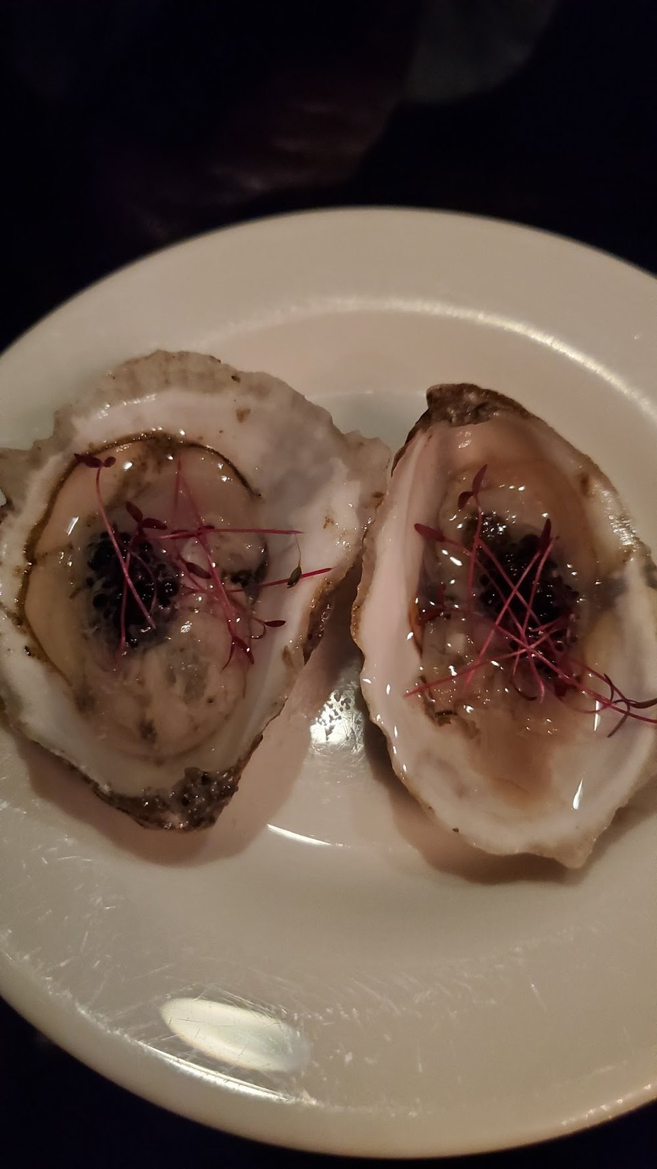 Oysters
